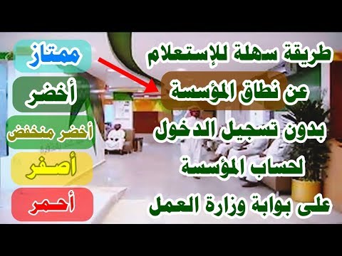 الاستعلام عن نطاق او لون المؤسسة في مكتب العمل