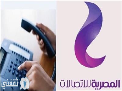 رابط استعلام دفع فاتورة التليفون الأرضي والانترنت من المصرية للاتصالات 2020