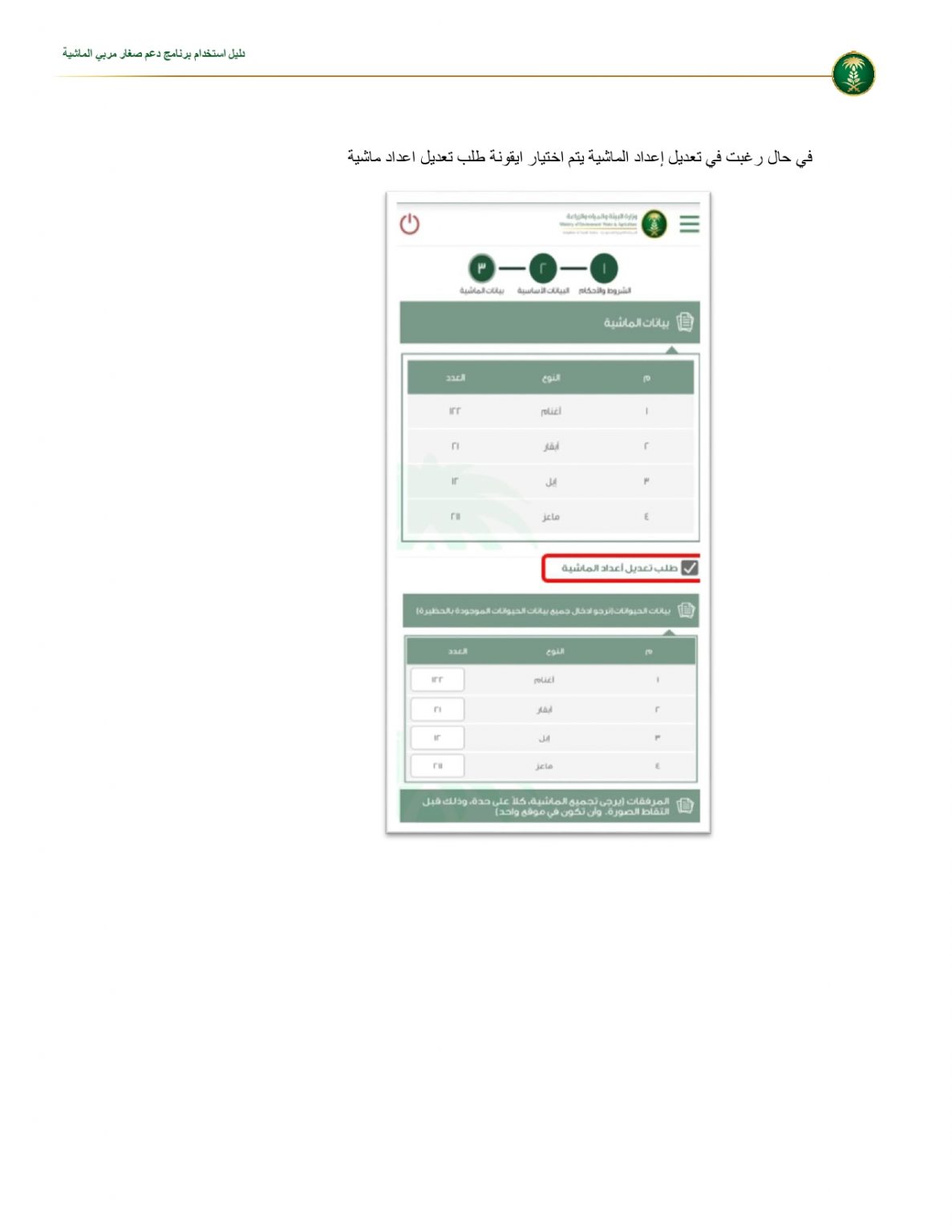 دعم صغار