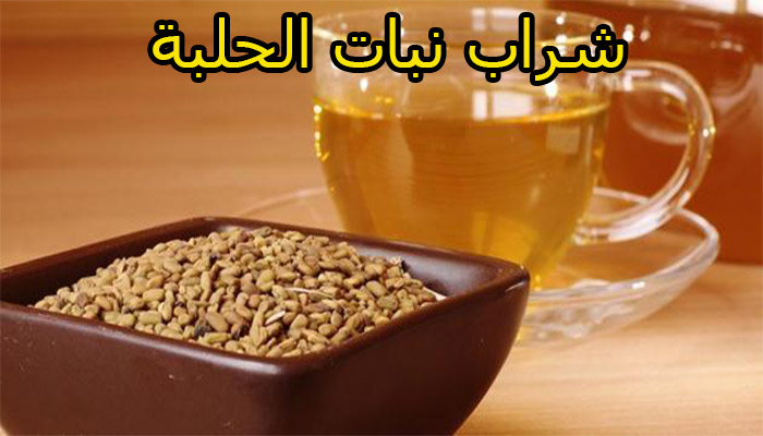 نبات الحلبة