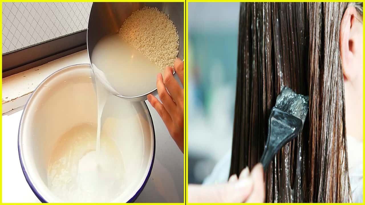 فوائد ماء الأرز للشعر المذهلة لفرد وتنعيم وترطيب الشعر وتحفيز نموه من الجذور ثقفني