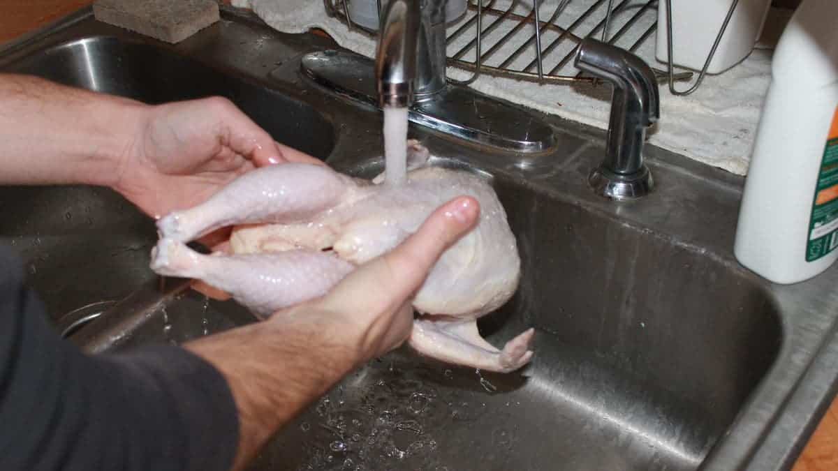 أضرار غسل الدجاج بالماء قبل الطهي يسبب أمراض خطيرة احذروا