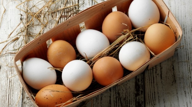الفرق بين البيض الأحمر والأبيض من حيث الشكل والفوائد