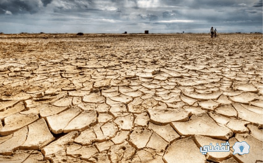 هل المنطقة العربية معرضة للجفاف؟ ماذا تفعل عند الجفاف؟ وكيف تتصرف اذا كان الجفاف متوقعا ؟
