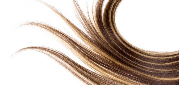 طريقة تطويل الشعر بسرعة فائقة بوصفة طبيعية مجربة في المنزل