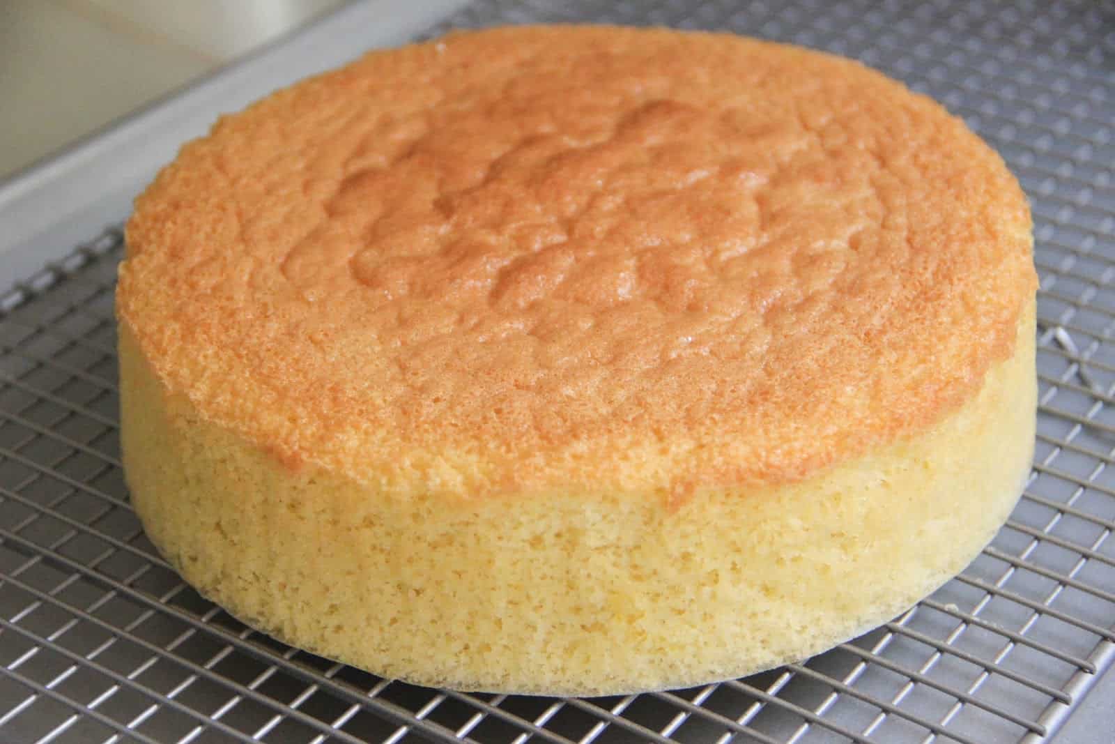 طريقة عمل الكيكة العادية الهشة بمكونات قليلة ومتوفرة في المطبخ وأسرار نجاح الكيكة