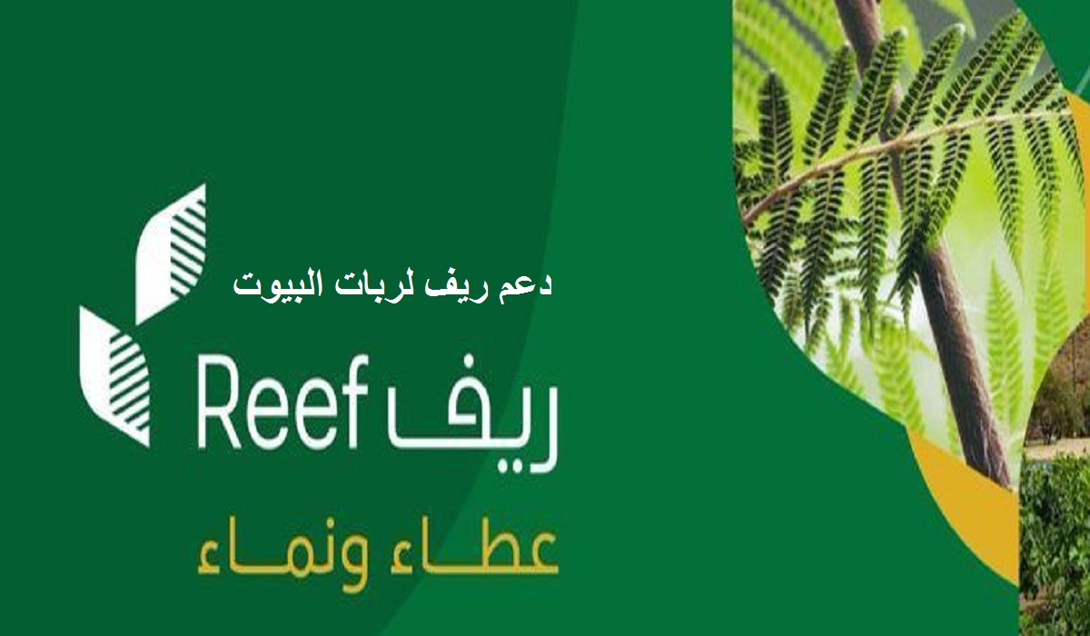 رابط التسجيل في دعم ريف 1442 عبر منصة ريف الإلكترونية reef.gov.sa والقطاعات المستهدفة
