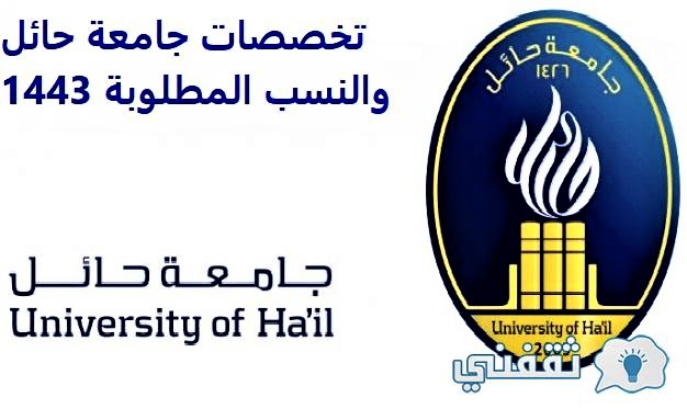 تخصصات جامعة طيبة والنسب المطلوبة