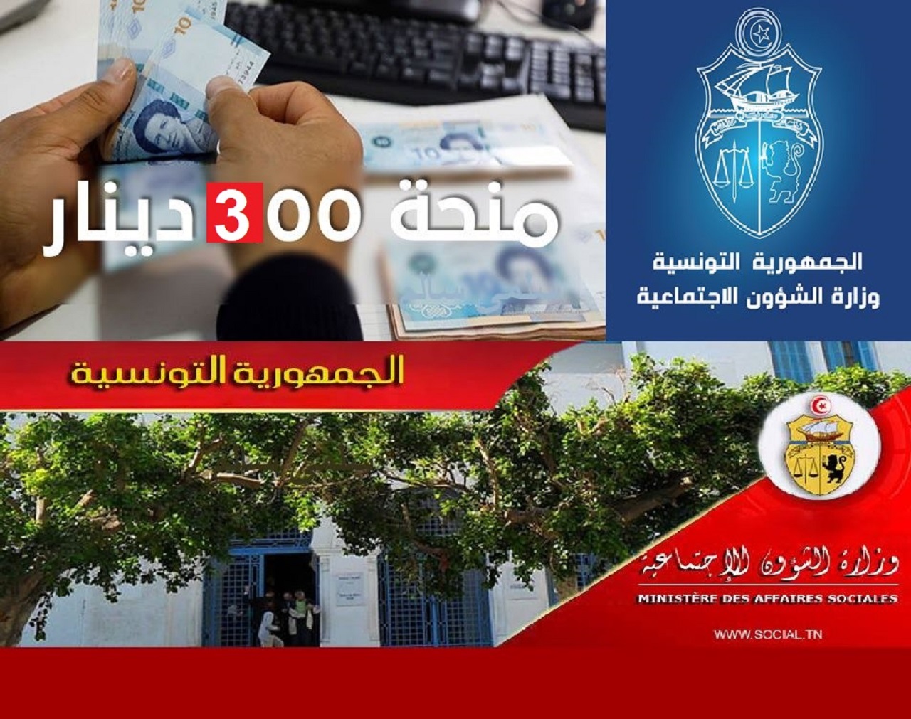 “منحة 300 دينار” رابط تسجيل منصة أمان التونسية للعاطلين عن العمل فى تونس 2021