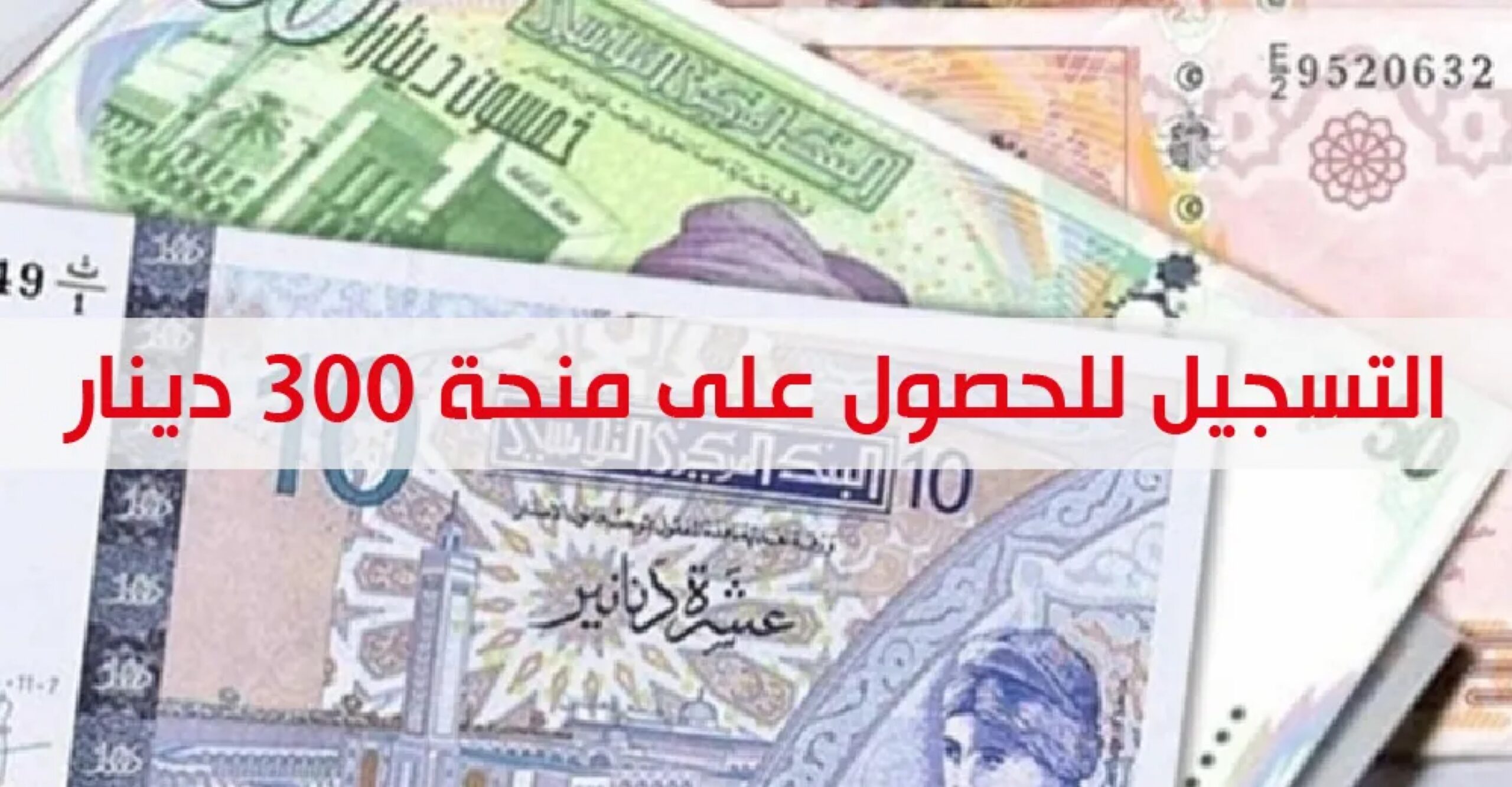 كيفاش التسجيل في منحة 300 دينار 2021 رابط منصة أمان التونسية