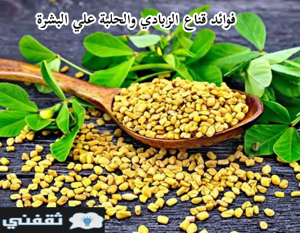 قناع الحلبة والزبادي للوجه