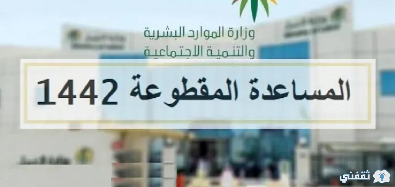 كيفية الاستعلام عن موعد صرف المساعدة المقطوعة وشروط التقديم للحصول على المساعدة 