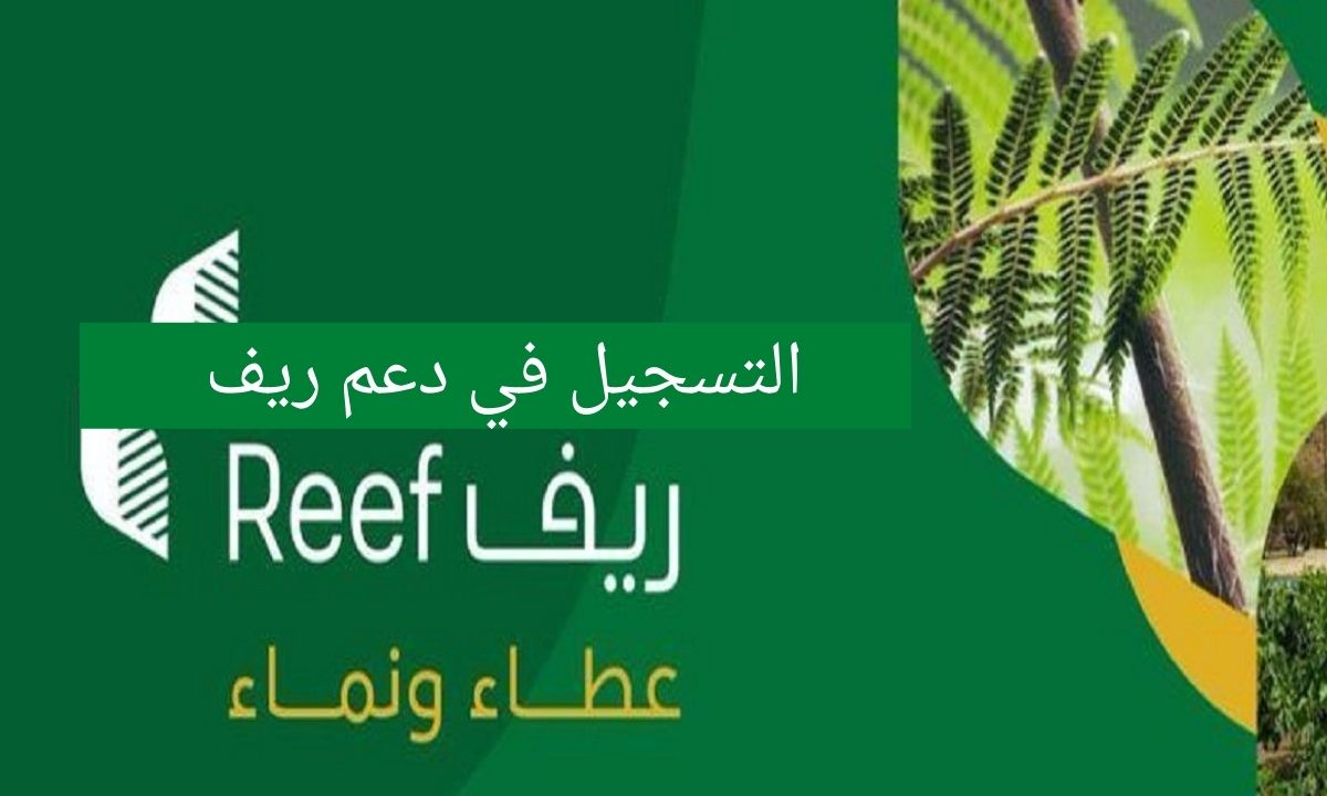 رابط التسجيل في الدعم ريفي reef.gov.sa للأسر الريفية المنتجة وربات البيوت للحصول على الدعم