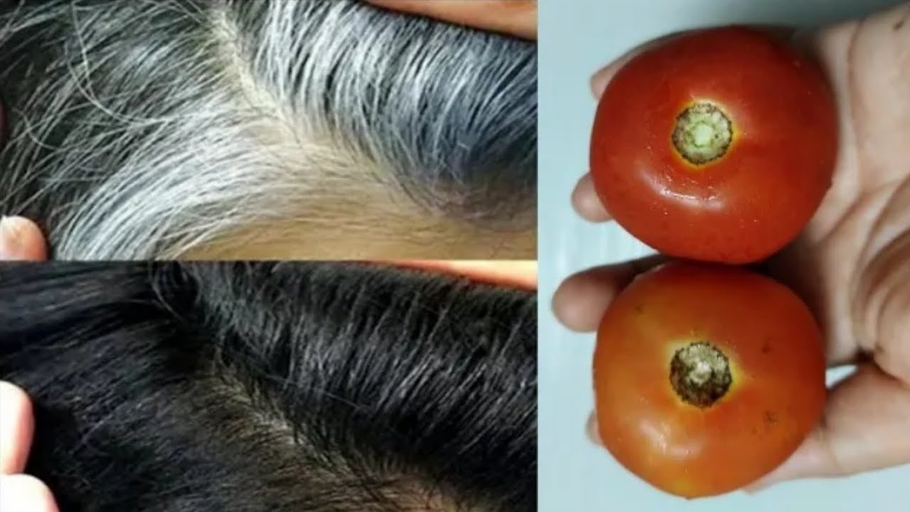 بحبة طماطم حولي الشعر الأبيض إلي الشعر الأسود بشكل طبيعي في 4 دقائق فقط بشكل دائم مجربة 100%