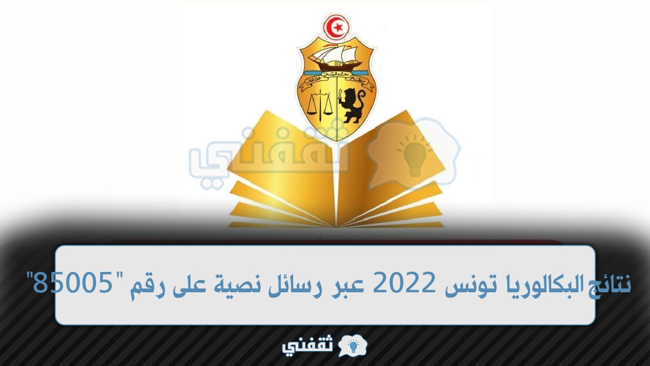 “85005” إعلان نتائج البكالوريا تونس 2022 الدورة الرئيسية رسمياً خطوات الحصول على النتيجة