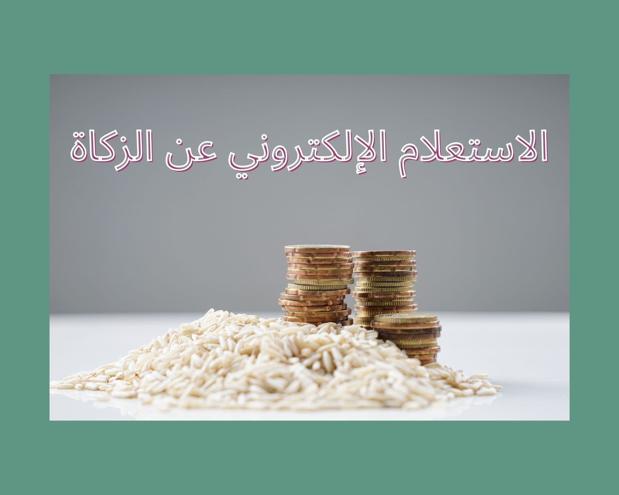 الاستعلام الإلكتروني عن الزكاة