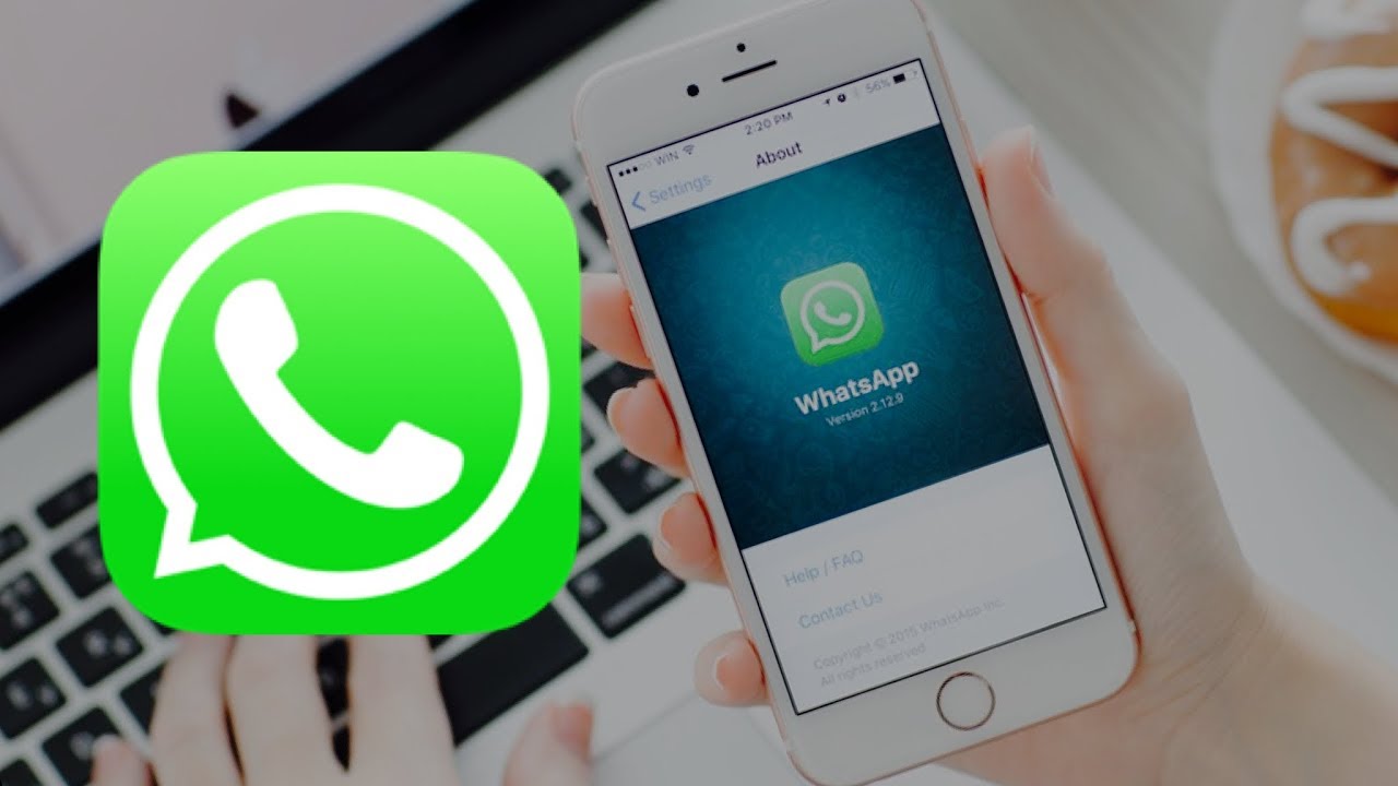 how-to-customize-the-whatsapp-status-on-the-iphone-and-determine-who