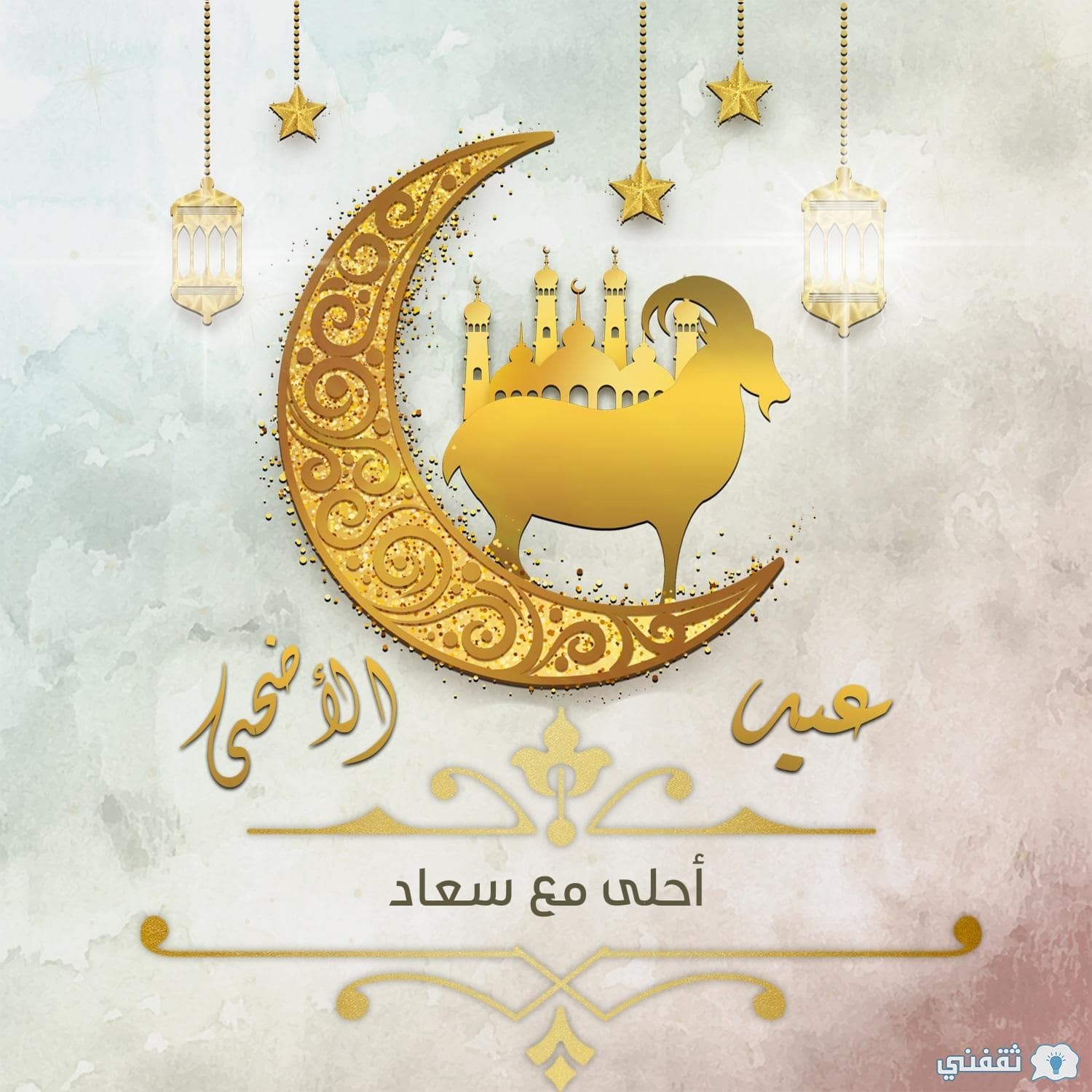 عيد الاضحى احلى مع سعاد