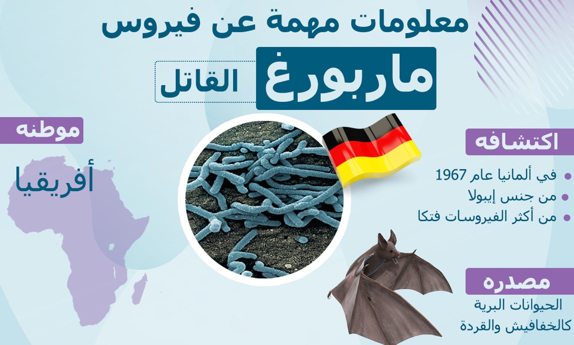 فيروس ماربورغ virus marburg