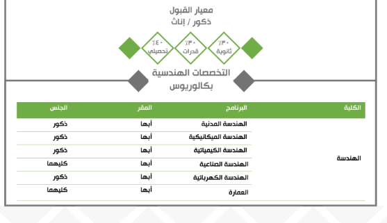 التخصصات الهندسية جامعة الملك خالد