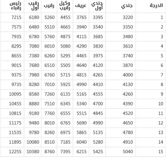 رواتب الامن الصناعي