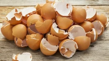 فوائد قشر البيض المطحون للبشرة قشر البيض لشد التجاعيد وتفتيح وتقشير الوجه