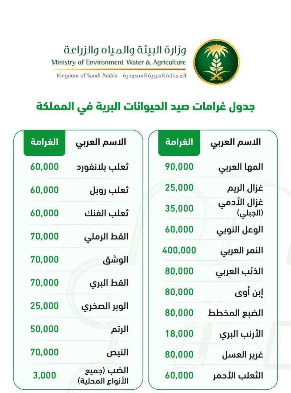 العقوبات الجديدة الخاصة بصيد السمان والكائنات المحظور صيدها 2022