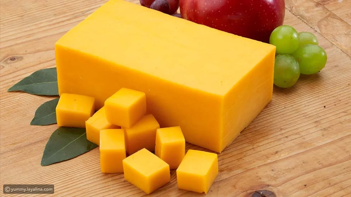 بأقل تكلفة أصنعي الجبنة الشيدر على أصولها بطريقة ناجحة 100% وبطعم ألذ من الجاهز