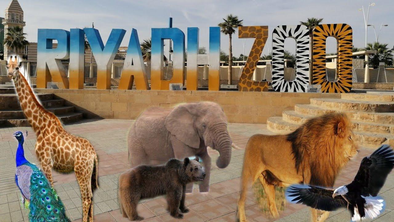 خطوات حجز تذاكر حديقة الحيوان بالرياض وكم سعر التذاكر ووقت العوائل Riyadh Zoo
