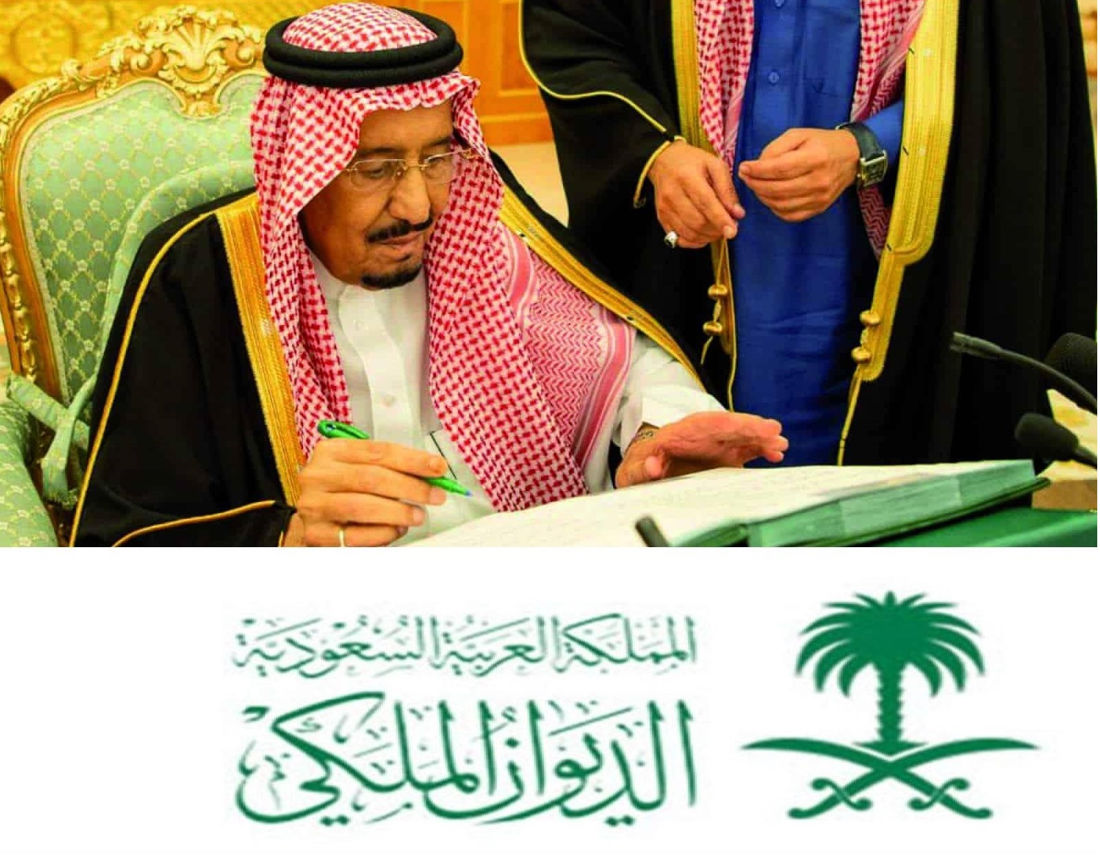 خطوات التقديم للحصول على منحة أرض مجانية من الديوان الملكي السعودي