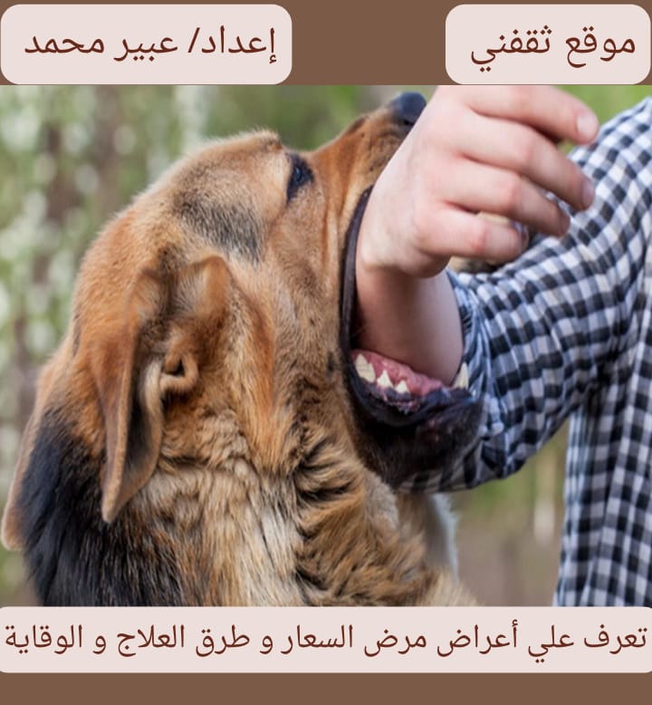 “Understanding and Preventing Rabies: Symptoms, Transmission, and Prevention Methods”