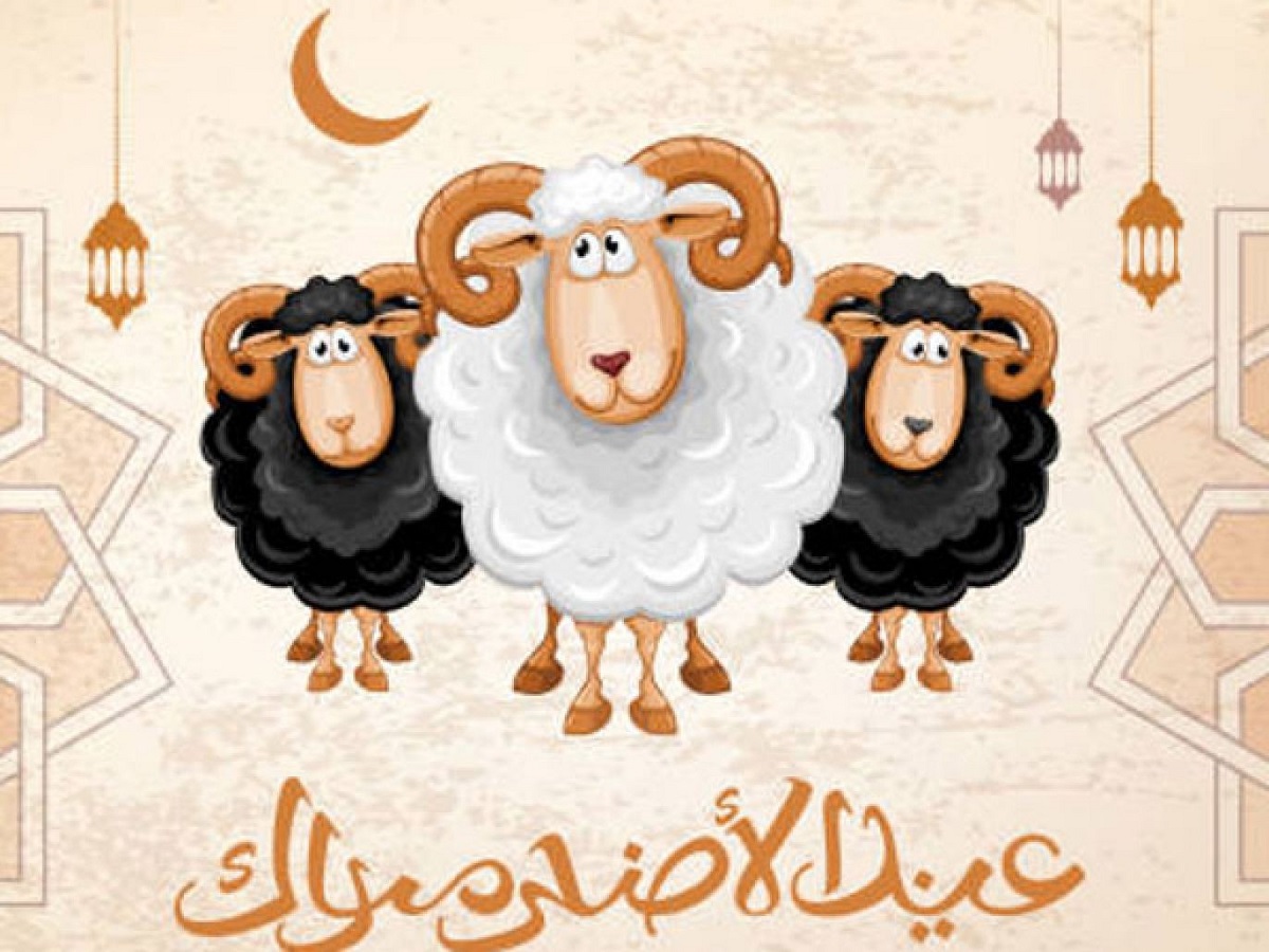 العد التنازلي عيد الاضحى