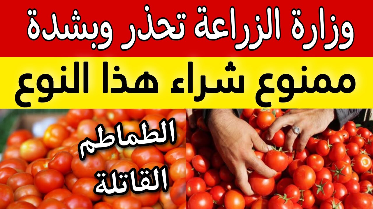كن حذرًا … خلي بالك من الطماطم المنتشرة بالأسواق فهي سموم قاتلة