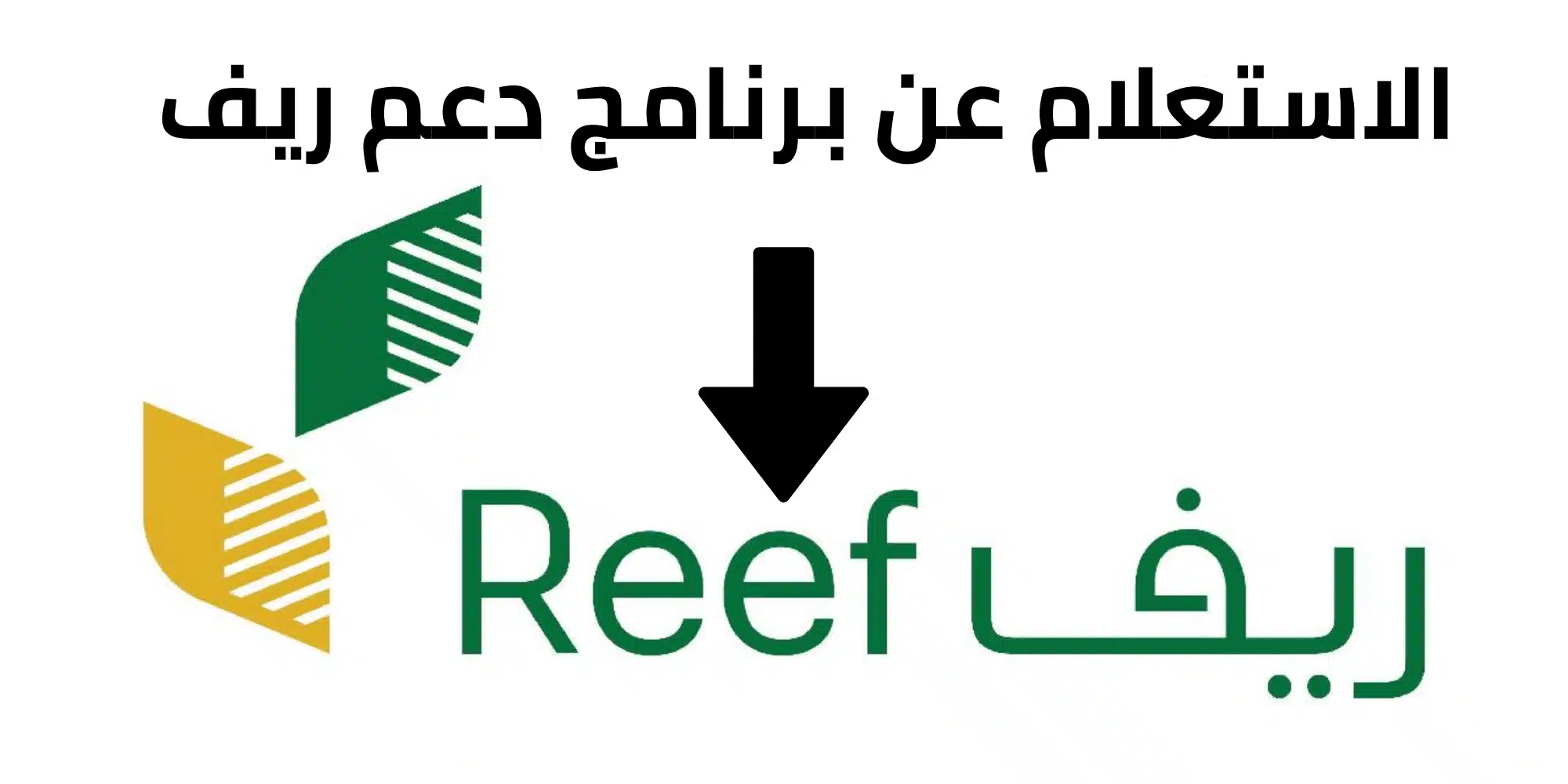 خطوات الاستعلام عن دعم ريف رقم الهوية والشروط المطلوبة reef.gov