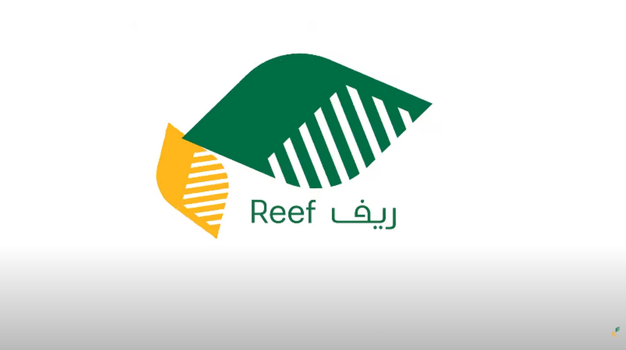 خطوات الاستعلام عن دعم ريف رقم الهوية والشروط المطلوبة reef.gov