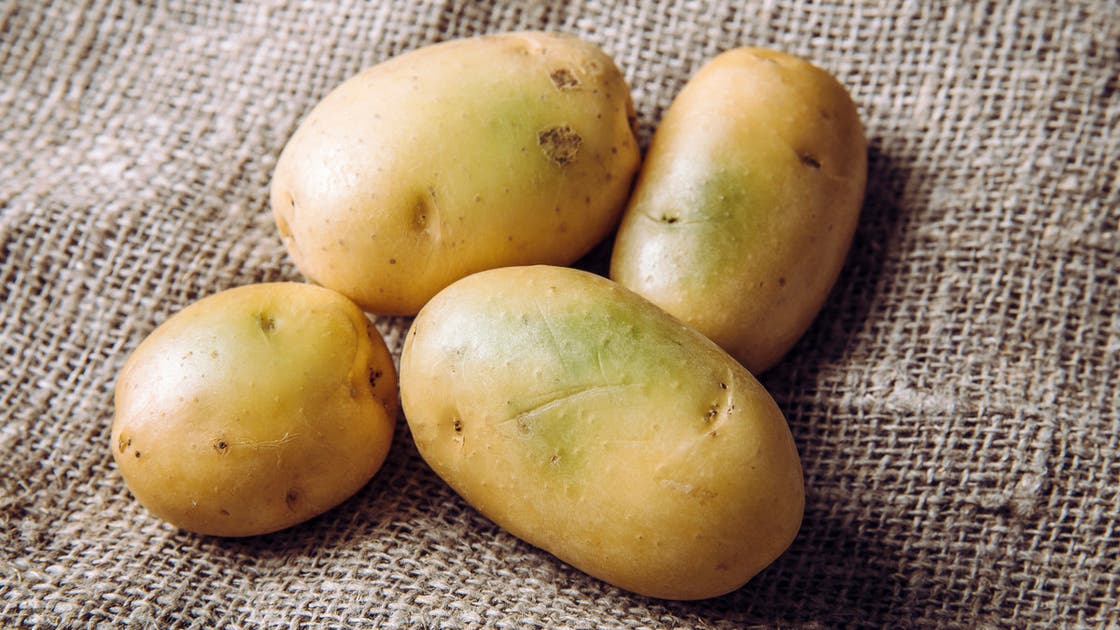 سر البقع الخضراء على البطاطس.. الحقائق والمخاطر المحتملة