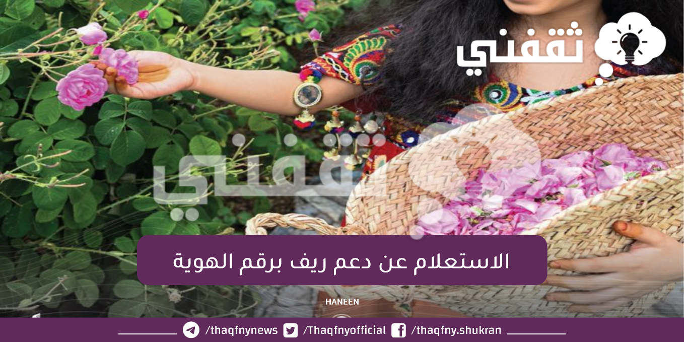 بوابة ريف استعلام