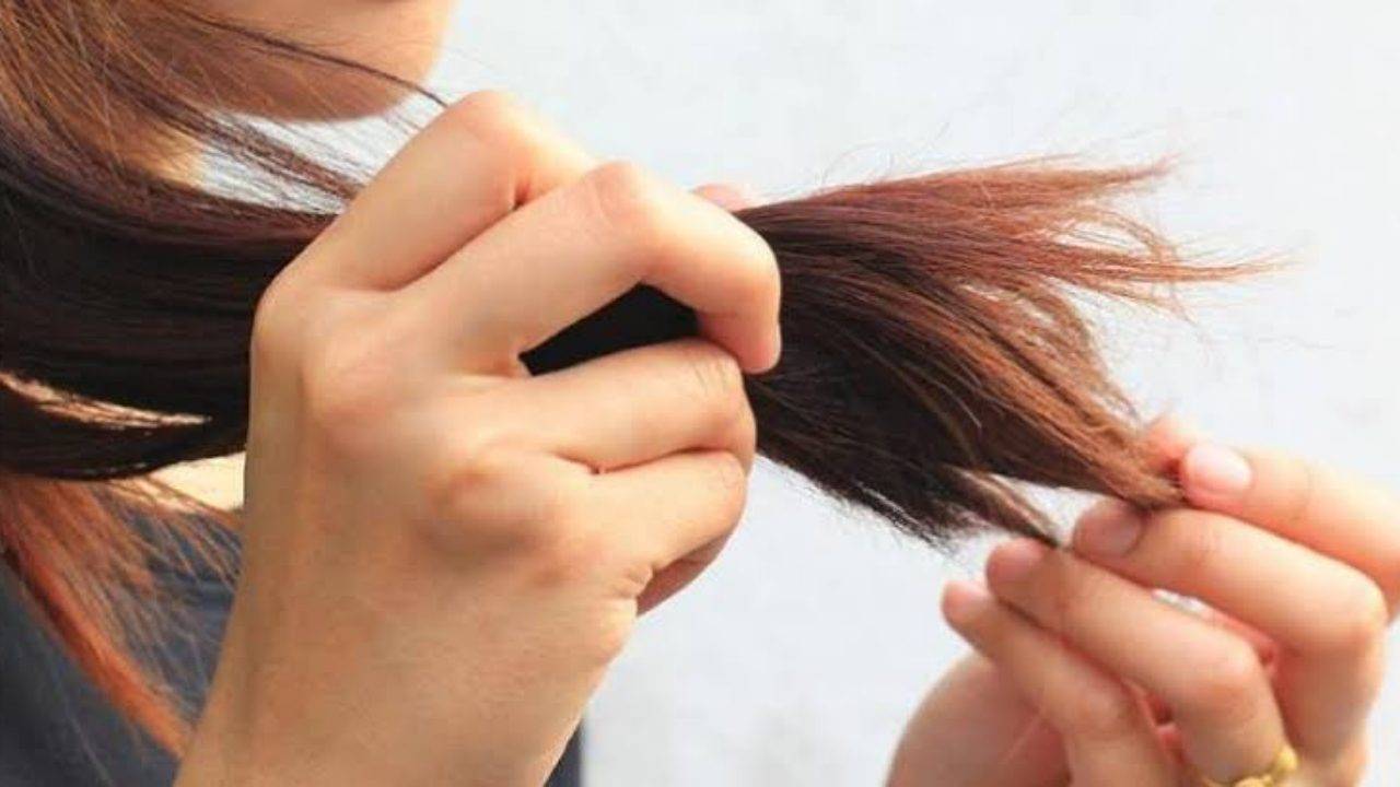التخلص من تقصف الشعر في ثلاث خطوات واستعيدي صحة وحيوية ولمعان شعرك