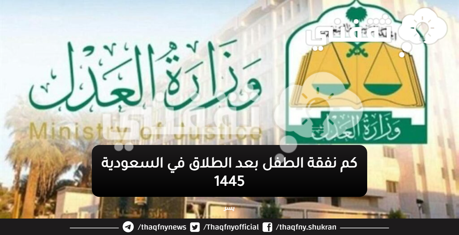 كم نفقة الطفل بعد الطلاق في السعودية 1445 ومتى تسقط النفقة