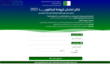 “NOW” نتائج البكالوريا في الجزائر 2023 عبر موقع الديوان الوطني www.onec.dz