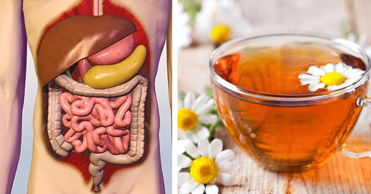 The Healing Power of Herbs: Natural Remedies for Colon Cleansing and Gas Relief