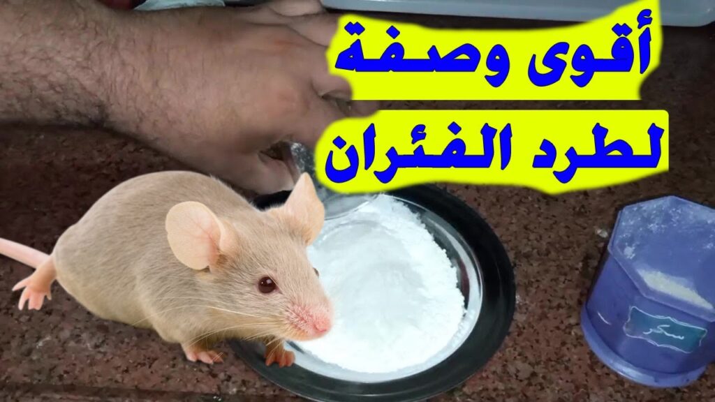 حديقه تهامه جدة