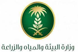 “وزارة البيئة والمياه الزراعية” توضح تسجيل دخول الدعم الريفي للنساء 1445 reef.gov.sa في السعودية